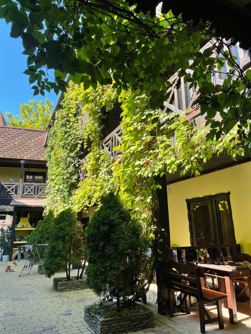 Гостиница Вилла Лючия Архипо-Осиповка-95