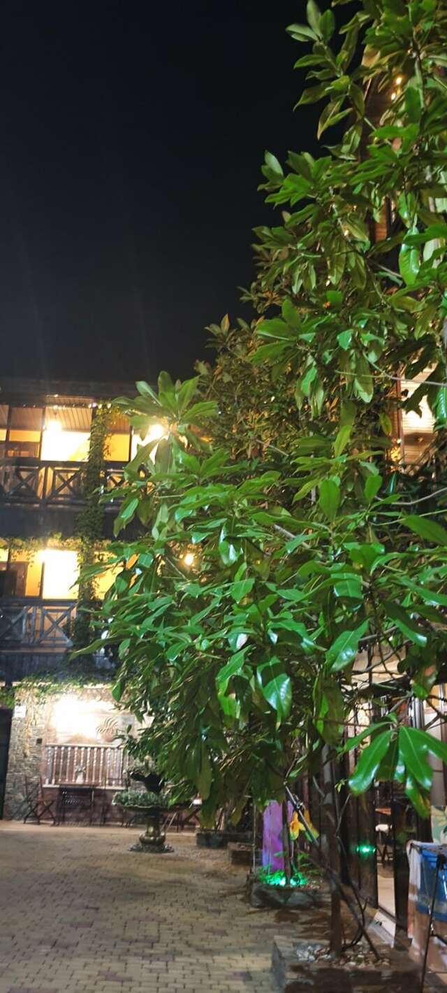 Гостиница Вилла Лючия Архипо-Осиповка-88